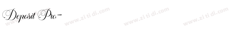Deposit Pro字体转换